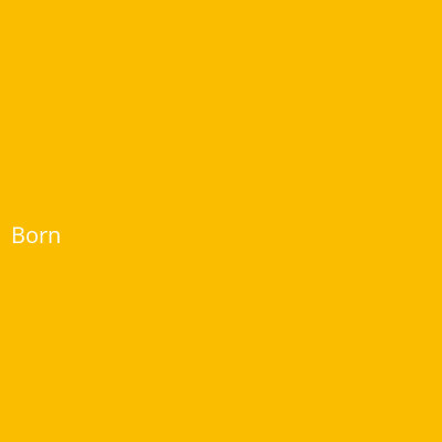 Hersteller: Born